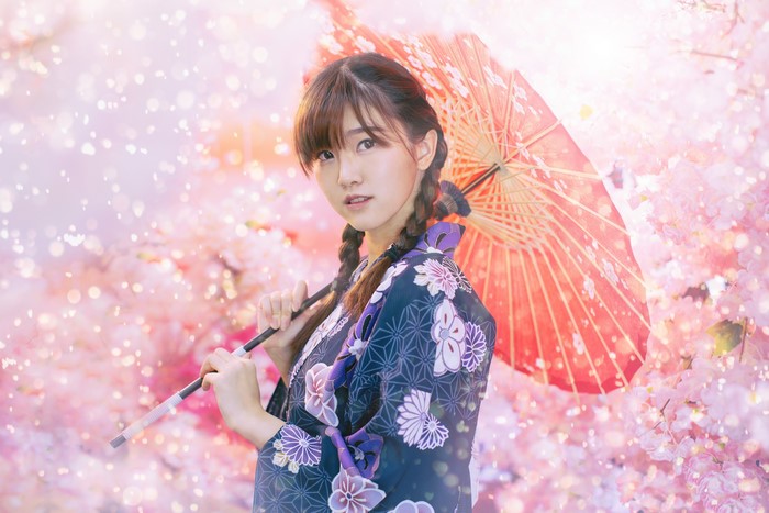 Asian girl with umbrella and braids in cherry blossoms