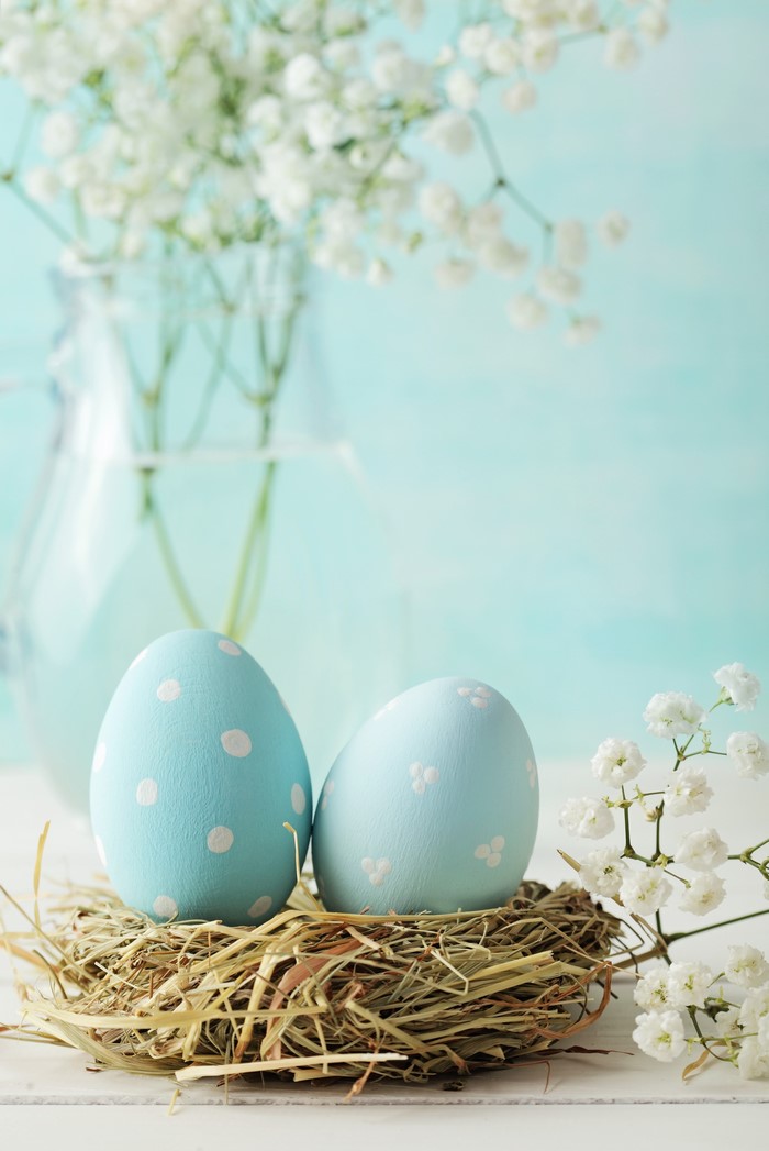 Two light blue Easter eggs in a straw nest with white flowers