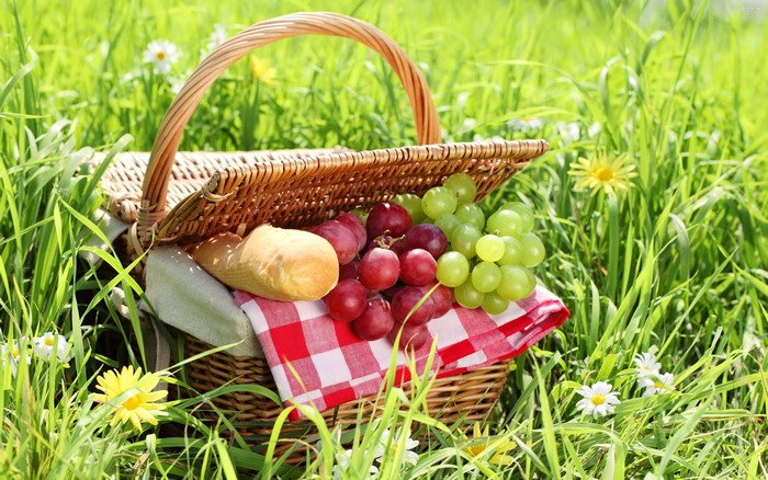 Picnic basket with bread and grapes in grass