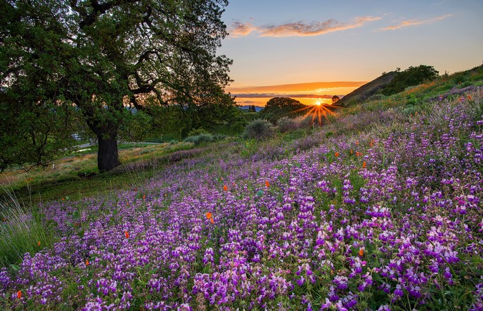 Sunrise Over Grasslands and Hills