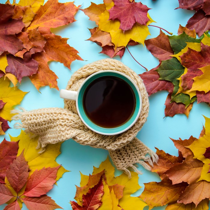 Autumn leaves surrounding a mug of tea wrapped in a scarf