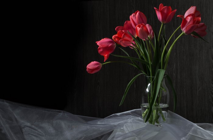 Red Tulips in a Vase