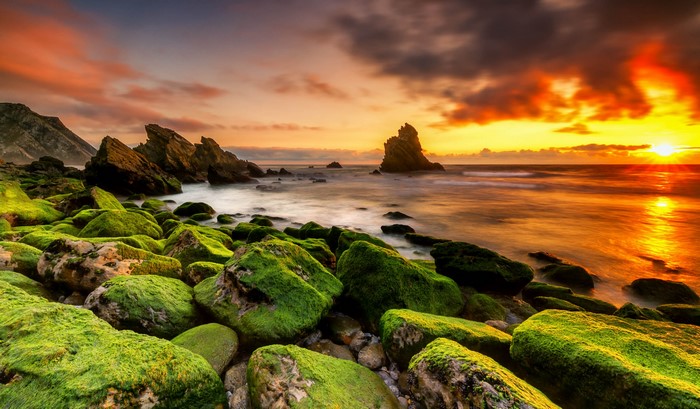 Mossy Rocks on Praia Adraga Beach at Sunset, Portugal