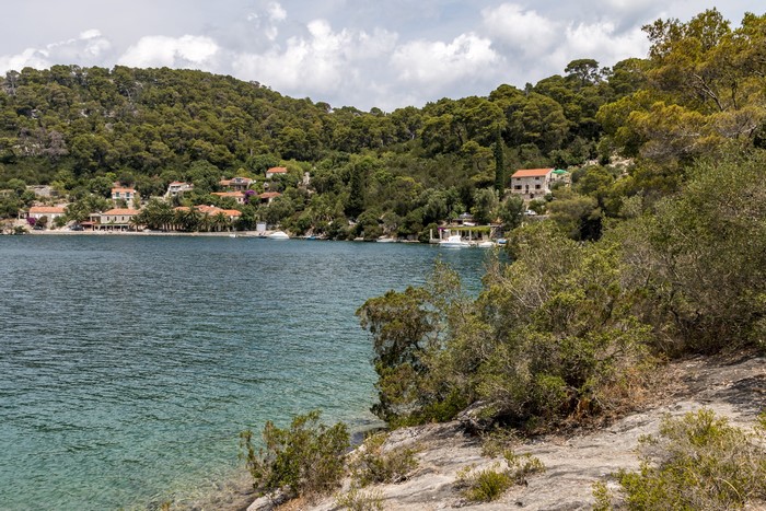 Mljet Island, Croatia Coastline with Houses and Trees