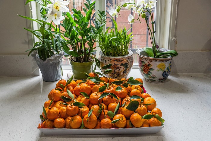 Orchids and tangerines on a windowsill