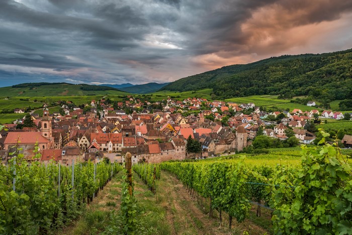 Riquewihr, France Village with Vineyards
