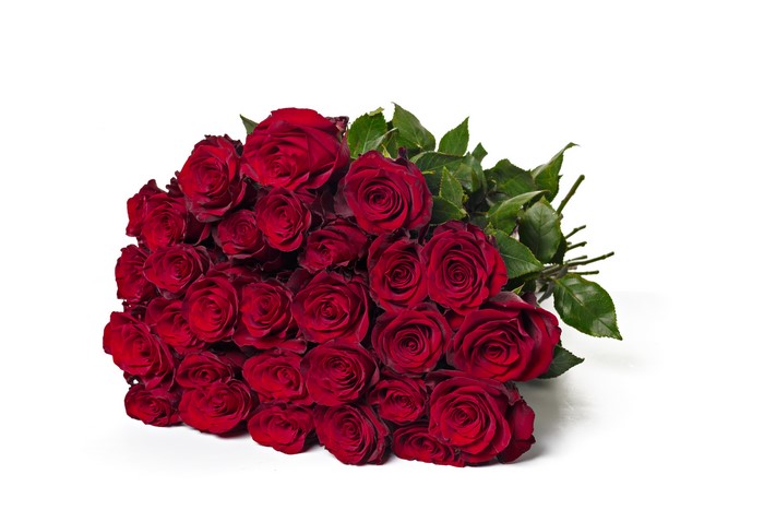 Bouquet of Red Roses on White Background