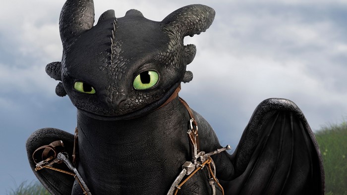 Toothless from How to Train Your Dragon