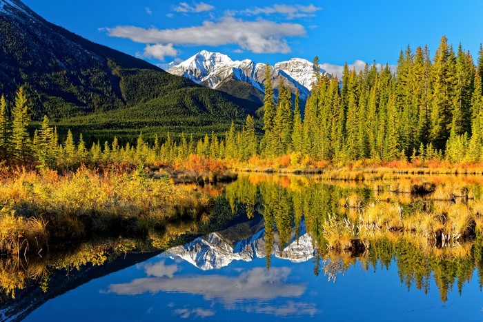 Autumn lake reflection of mountains and forests in Banff, Alberta
