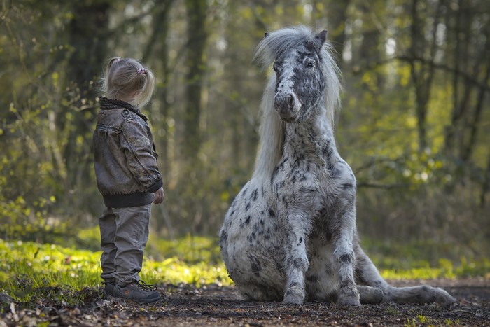 Little girl and spotted pony in forest