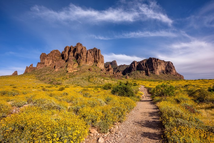 Superstition Mountains, Arizona, USA