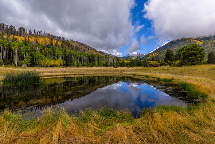 Lockett Meadow Arizona Mountains Forest Pond