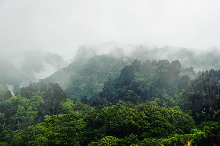 Mountains and Forests in Fog, Laos
