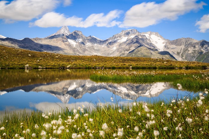 Mountains reflected in a lake with cotton grass