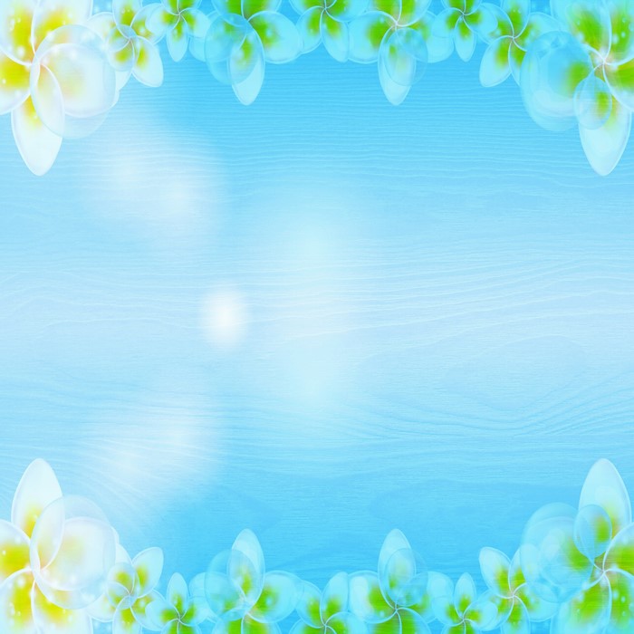 Plumeria flowers on a blue wooden background