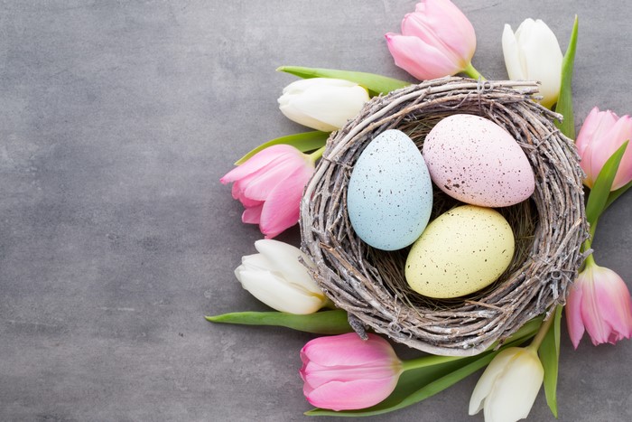 Easter nest with tulips and speckled eggs