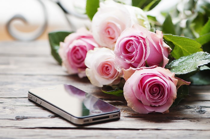 Pink and white roses with a smartphone