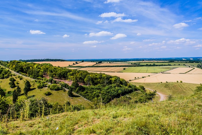 Rolling fields and trees under a blue sky in Kingsclere, England