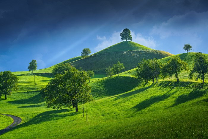 4K Hillside with Trees in Canton of Zug, Switzerland