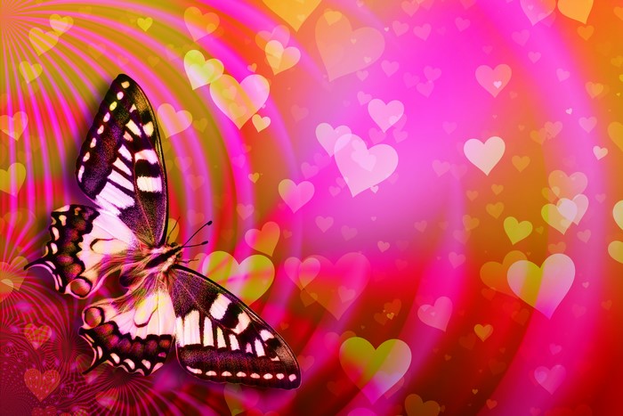 Butterfly on a pink and yellow background with hearts