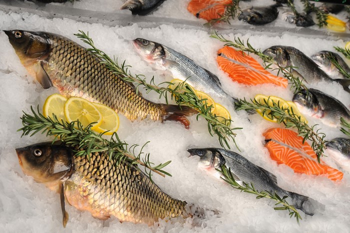 Fresh Fish and Salmon on Ice