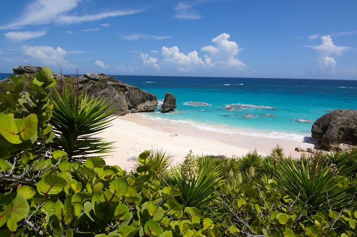 4K Bermuda South Shore Park Ocean Coast Beach