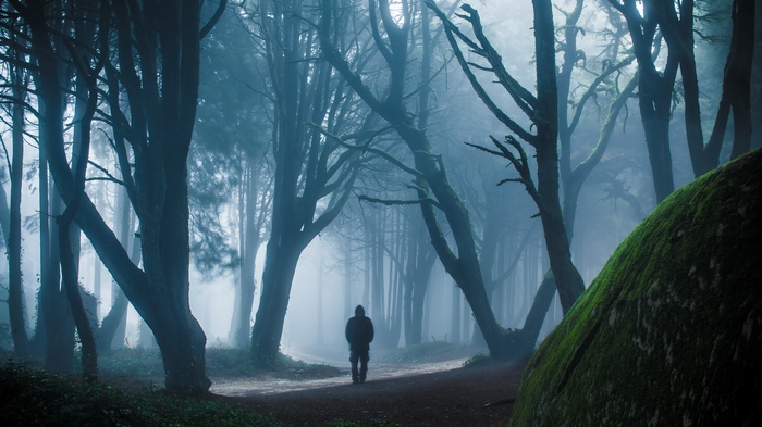 Person walking in a foggy forest with mossy rocks