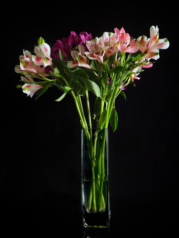 Alstroemeria flowers in a glass vase