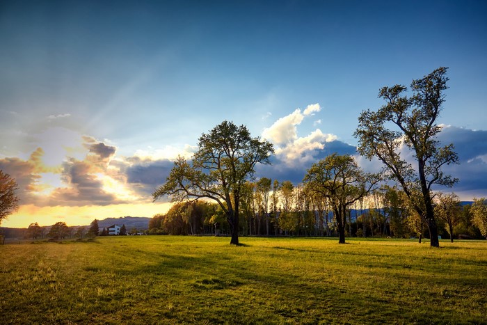 4K Grasslands with Trees and Sky in Engerwitzdorf, Austria