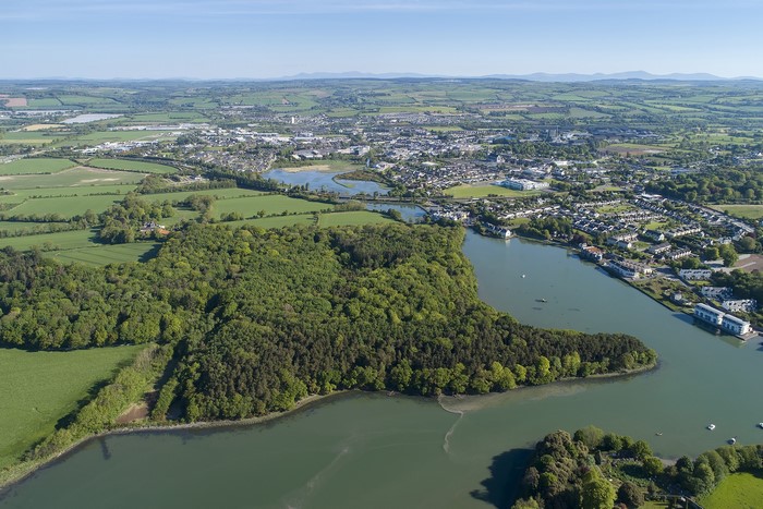 Aerial view of Ballinacurra, Munster, Ireland with river and forest