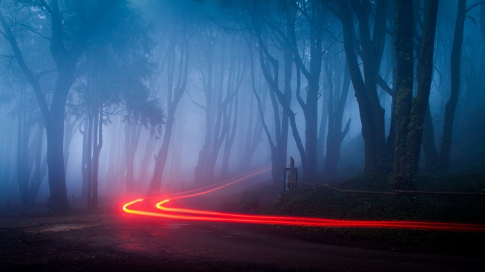 Red light trails on a foggy forest road at night