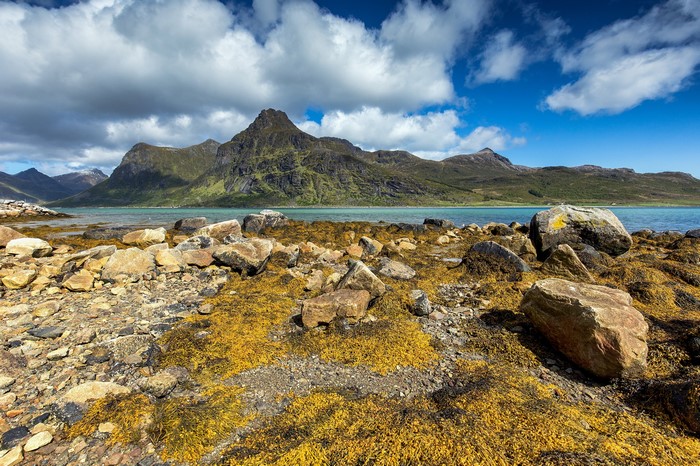 4K Norway Lofoten Mountains and Coastline