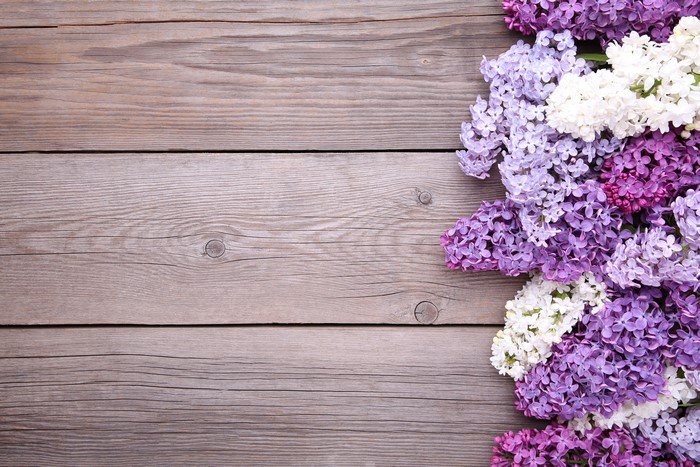 Lilac flowers on wooden planks