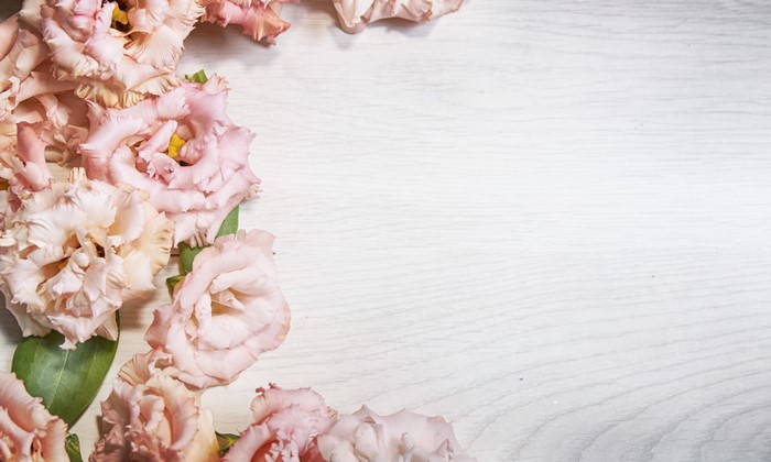 Pink Eustoma Flowers on Wood Planks Template