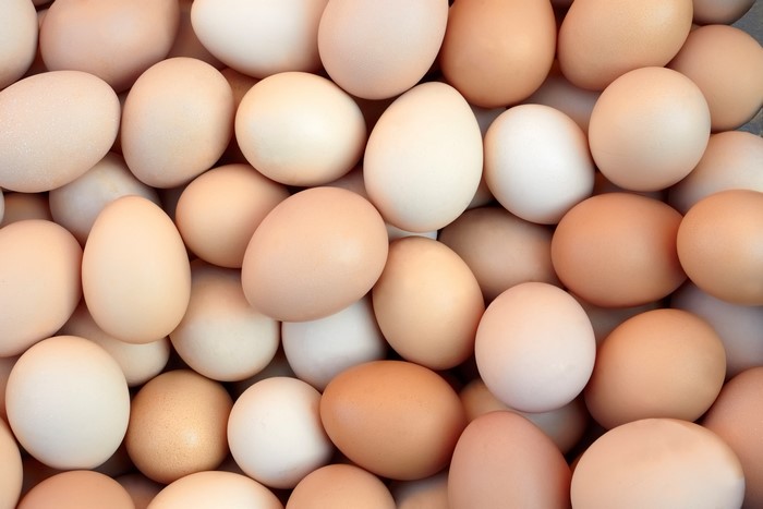 Many eggs texture