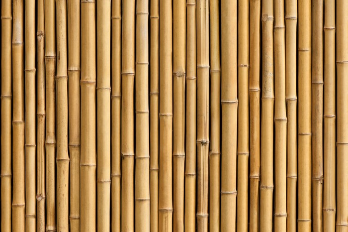 Bamboo Texture Background