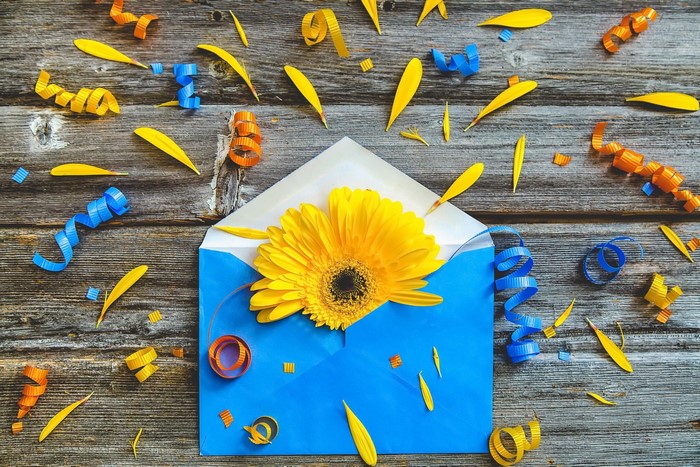 Yellow Gerbera flower in a blue envelope with confetti