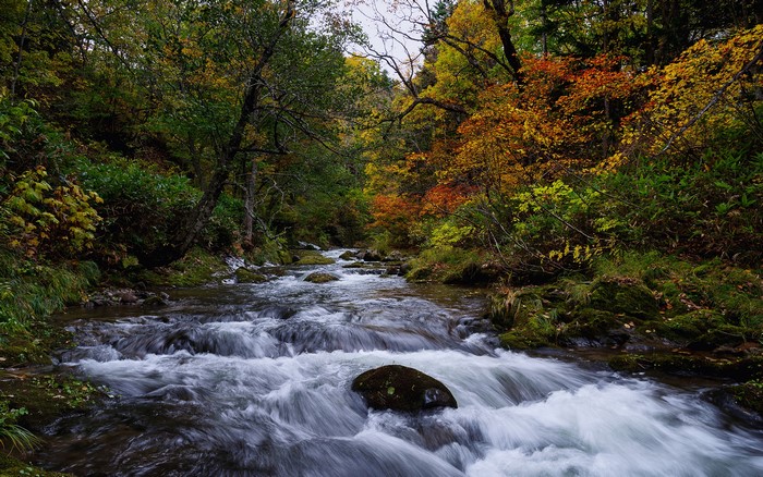 4K Autumn River in Hokkaido, Japan