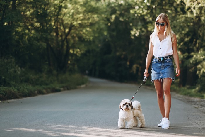 Blonde girl walking a Bolognese dog on a path