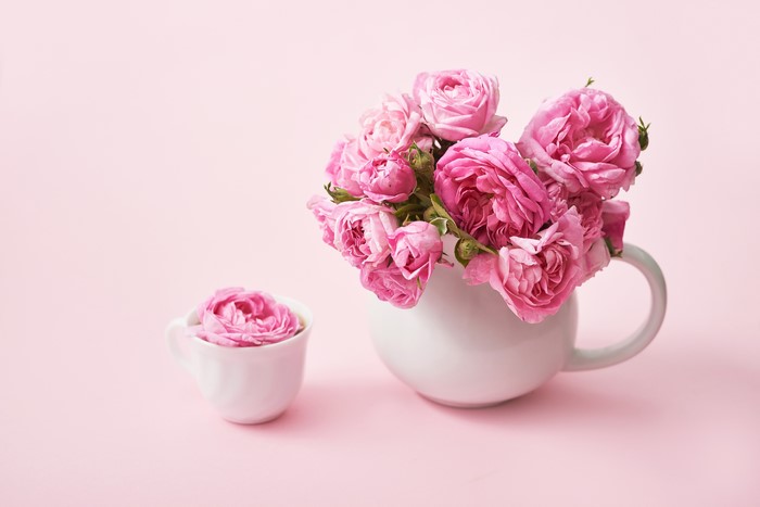 Pink Roses in White Cups and Vase