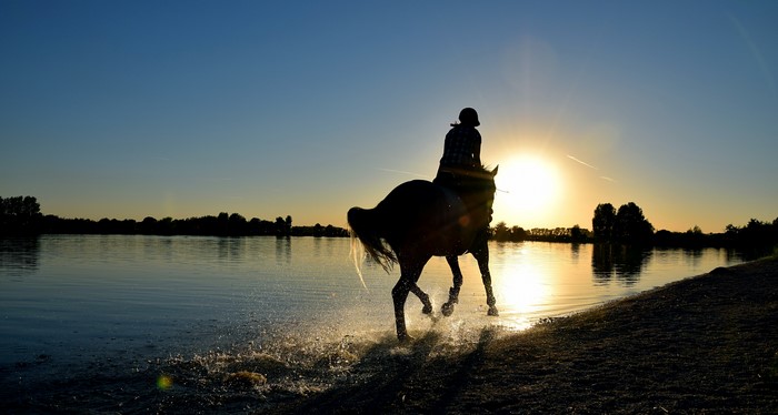 Horse and rider at sunset by the lake