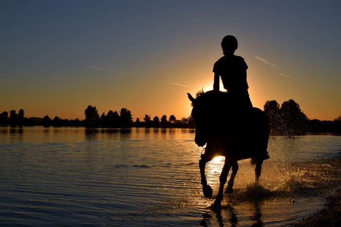 Silhouette of a person riding a horse in a lake at sunset