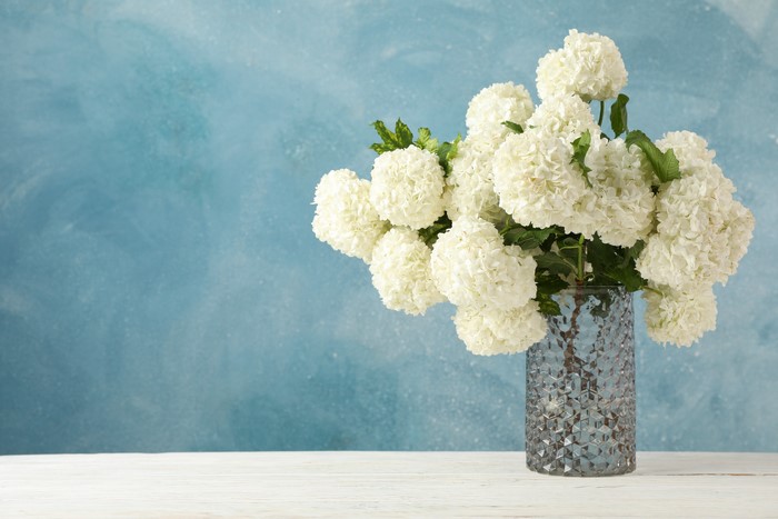 White Hydrangea Bouquet in a Vase