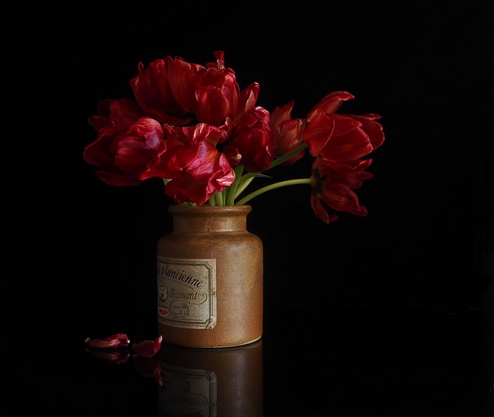 Red tulips in a vintage jar on a black background