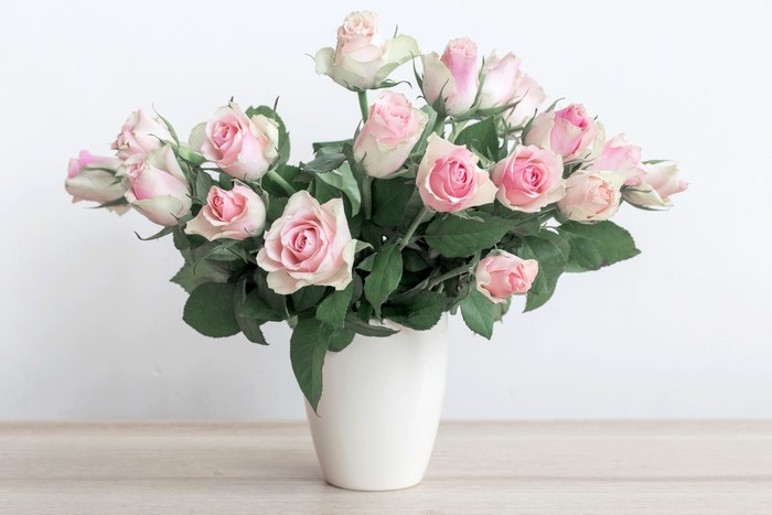 Bouquet of pink roses in a white vase