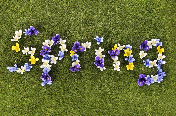 Spring word made of flowers on grass