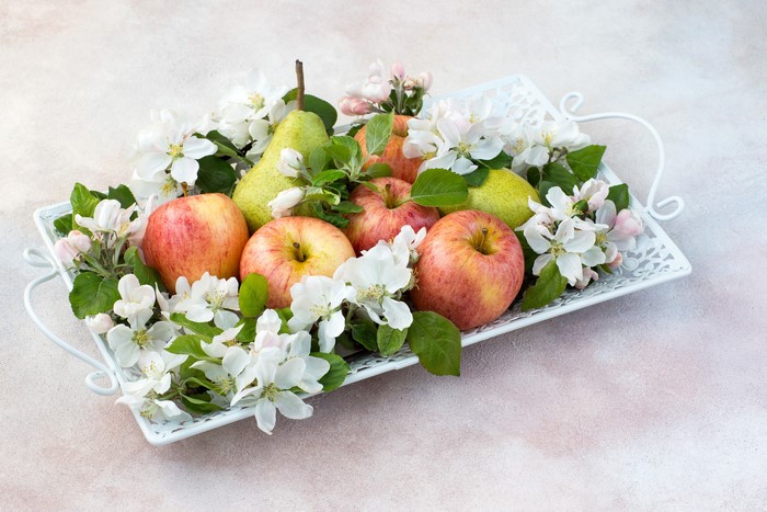 Apples and Pears with Blossoms on a Tray