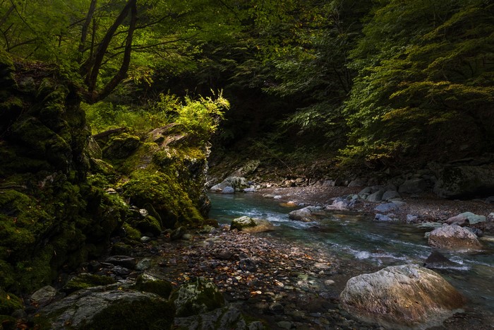Mossy Rocks and Stream in Iya Valley, Japan
