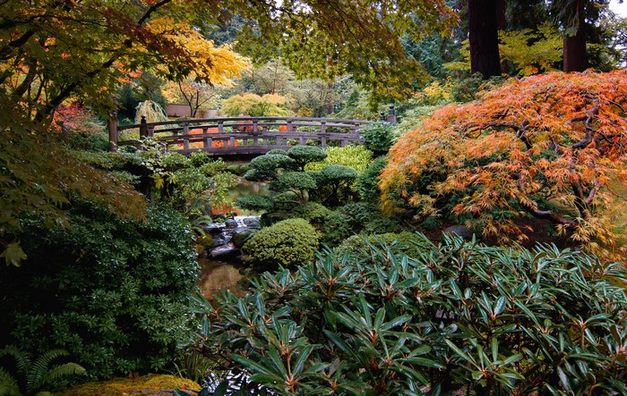 Portland Japanese Garden with Bridge and Autumn Foliage