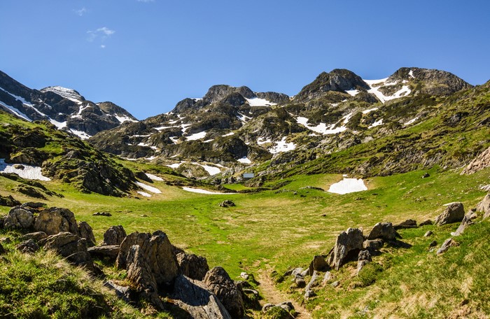 Mountains with snow and green grass in the Alps